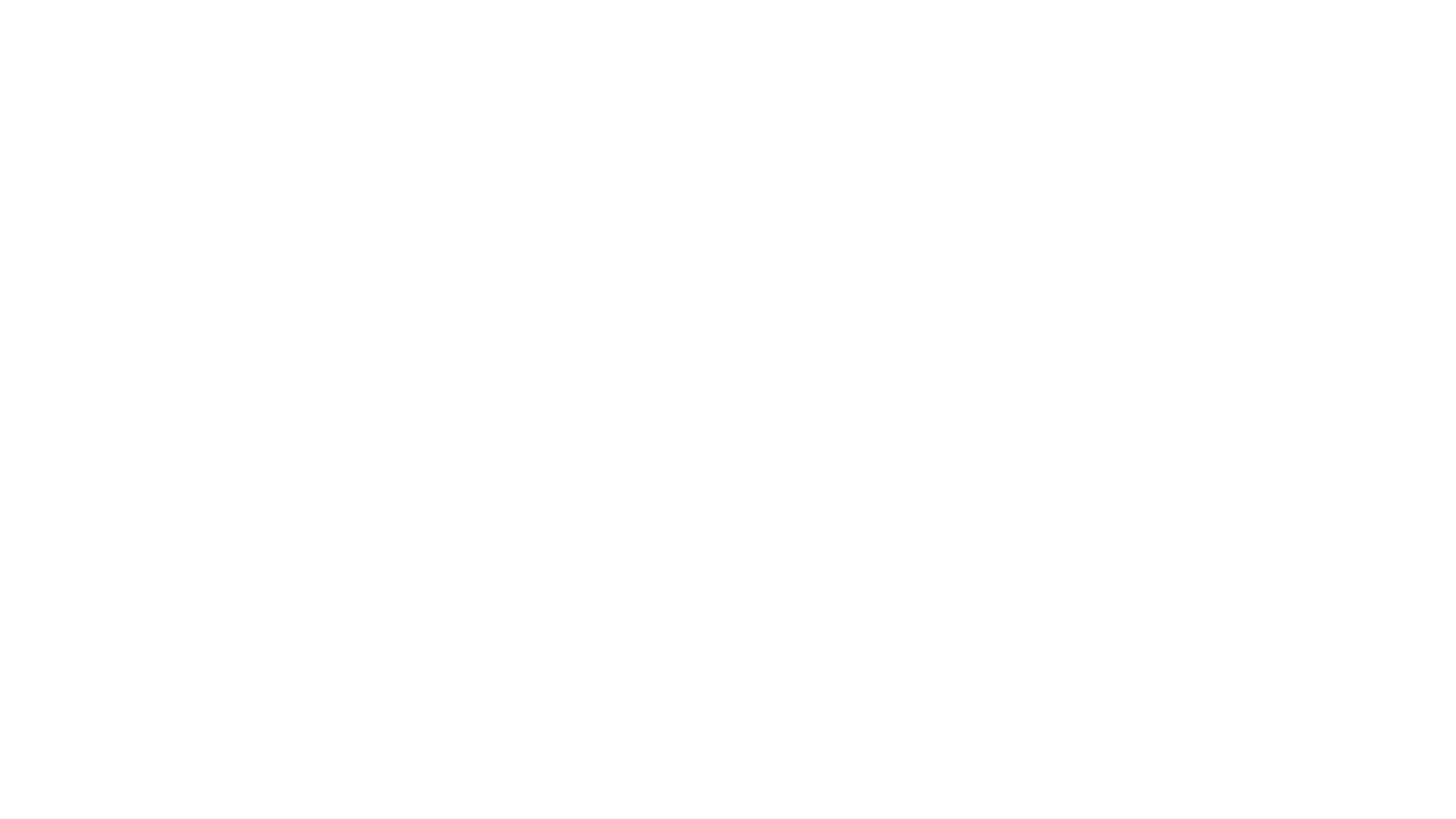 Hochiki Logo Dark