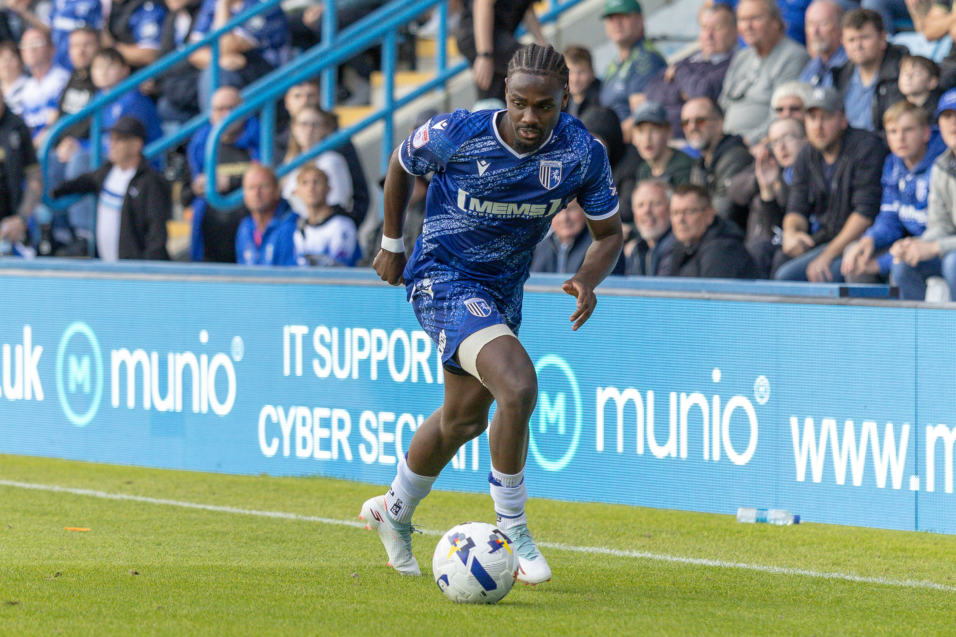 Ana de armas celebjihad